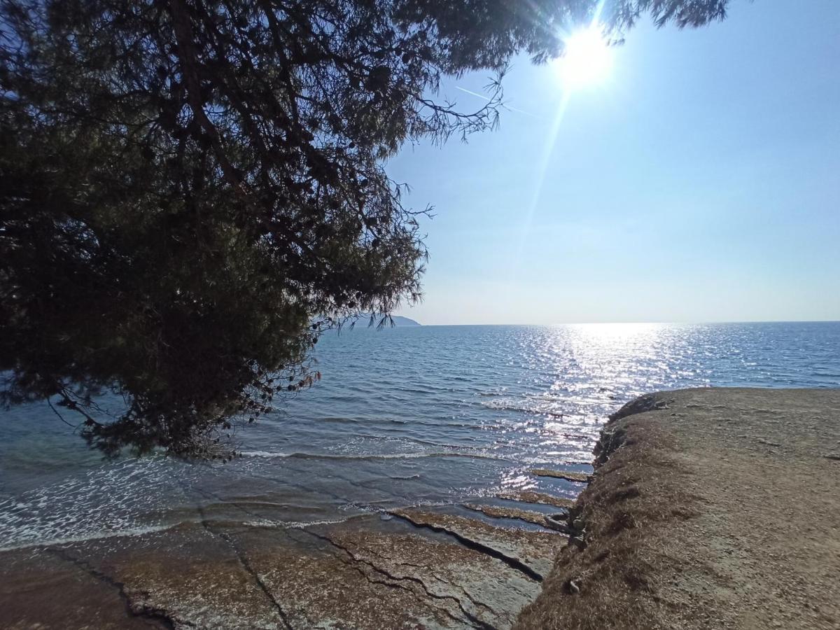 Ete Indien - Plage - Wifi - Host Provence Leilighet La Ciotat Eksteriør bilde